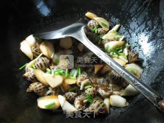 茭白炒花螺的做法步骤：11