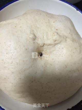 萌哒哒的森林动物挤挤面包的做法步骤：6