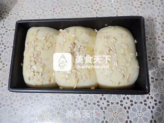 中种燕麦面包的做法步骤：12