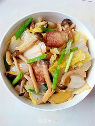五花肉烧大白菜的做法步骤：10