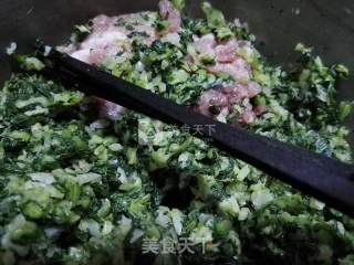 青青绿菜油油——菜肉馄饨的做法步骤：1