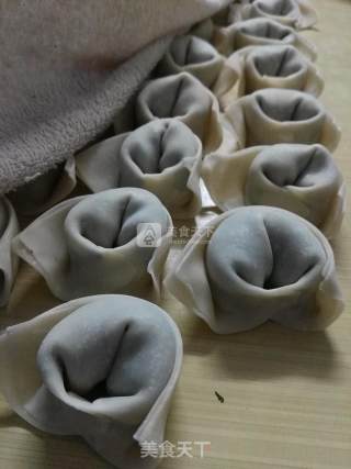 青青绿菜油油——菜肉馄饨的做法步骤：4