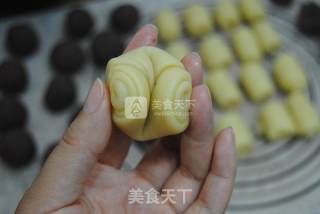 蛋黄酥（黄油版）的做法步骤：14