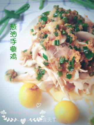 葱油手撕鸡的做法步骤：12