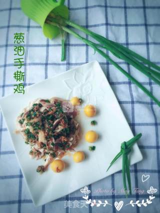 葱油手撕鸡的做法步骤：13