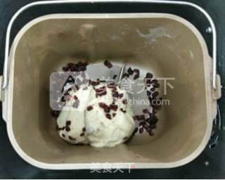 蔓越莓双色面包的做法步骤：4