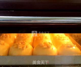 天然酵种松仁小餐包的做法步骤：7