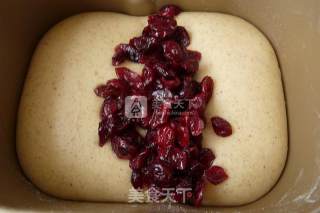 蔓越莓高梁吐司的做法步骤：9