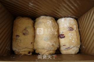 蔓越莓高梁吐司的做法步骤：16