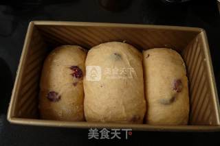 蔓越莓高梁吐司的做法步骤：17