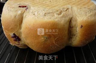 蔓越莓高梁吐司的做法步骤：20