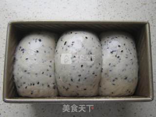 黑芝麻吐司的做法步骤：10