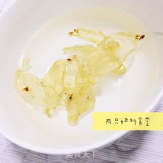 牛奶炖花胶的做法步骤：1