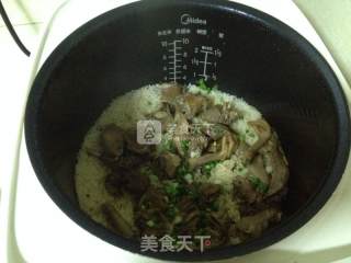 鸽子焗饭的做法步骤：9