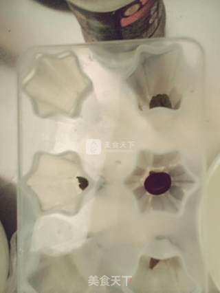 简单雪糕的做法步骤：6