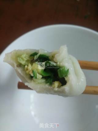 韭菜鸡蛋馅饺子的做法步骤：5