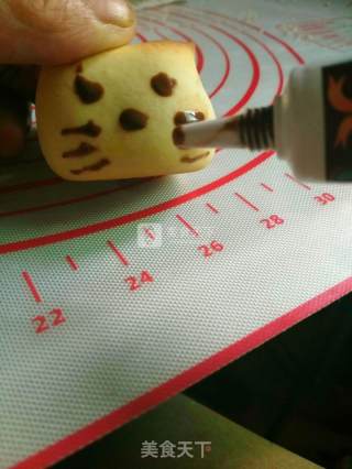 小鸡烧果子的做法步骤：8