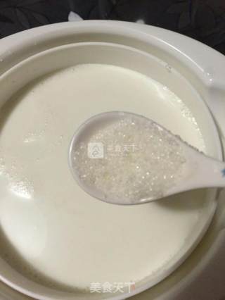 川秀酸奶盆栽的做法步骤：3