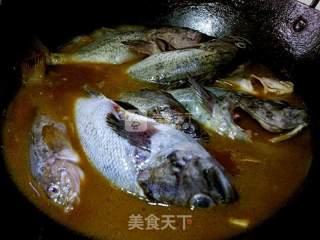 清炖黑鱼的做法步骤：4