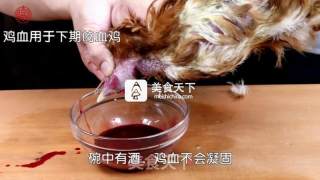 懒鬼菜系列之【水煮仔鸡】附：杀鸡详解的做法