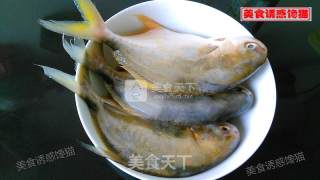 金昌鱼焖豆腐的做法步骤：1