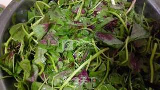 苋菜馍【苋菜卷饼】的做法步骤：2