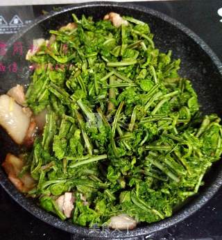 五花肉炒广东菜的做法步骤：6
