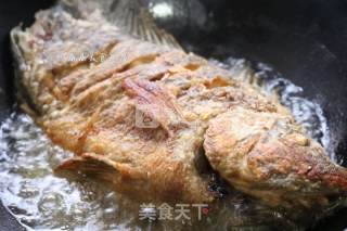 红烧罗非鱼的做法步骤：4