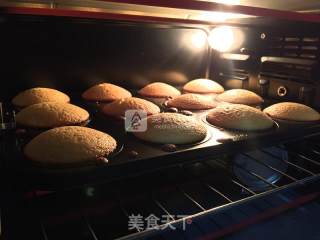 蔓越莓柠檬蜜蛋糕的做法步骤：10