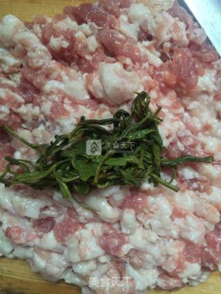 绿茶肉丸子「春夏暮色」的做法步骤：4