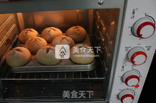 咖啡蛋糕的做法步骤：10
