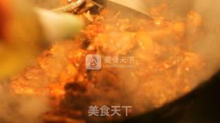 布衣鹅的做法步骤：8