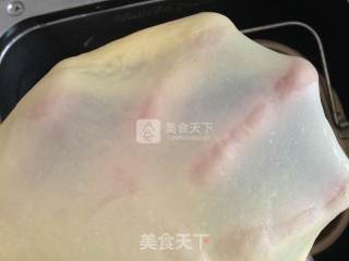 毛毛虫面包的做法步骤：4
