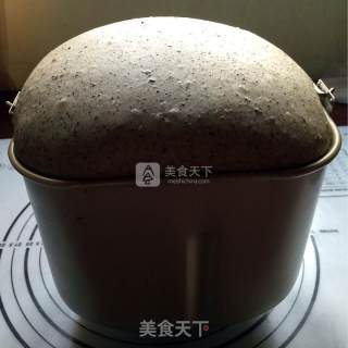 黑芝麻核桃仁吐司的做法步骤：5