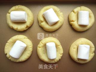 棉花糖巧克力曲奇的做法步骤：6
