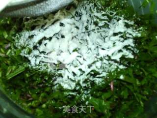 蒸蒲公英丸子的做法步骤：6