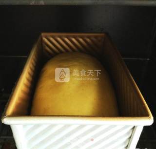 中种玉米吐司的做法步骤：7