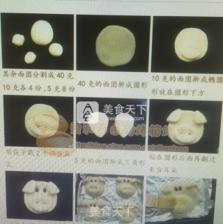 童心小猪面包的做法步骤：5