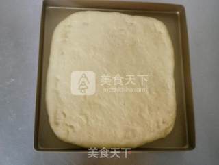 用面包机和面快速出膜的心得——肉松面包卷的做法步骤：9
