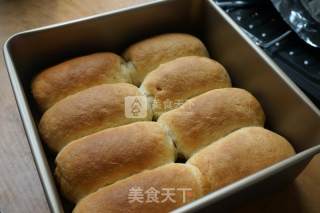 蜜豆夹心小排包的做法步骤：14