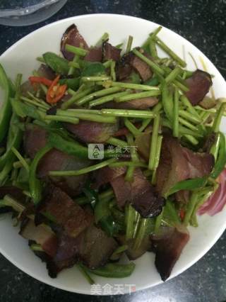 烟熏肉炒芦蒿的做法步骤：6