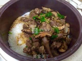 香焖鸽子饭的做法步骤：2