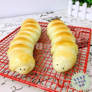 可爱的毛毛虫豆沙包的做法步骤：13
