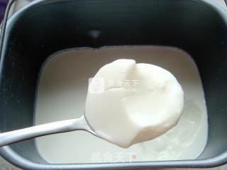 自制酸奶（面包机版零失败）的做法步骤：11