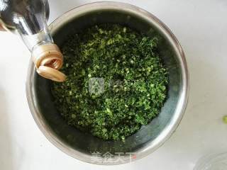 茴香鸡蛋包子的做法步骤：9