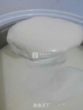 自制美味酸奶的做法步骤：8