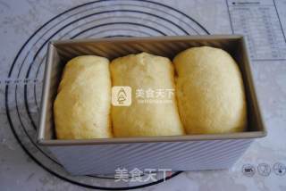 胡萝卜面包的做法步骤：14