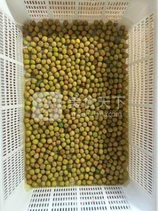 水培豌豆苗的做法步骤：1