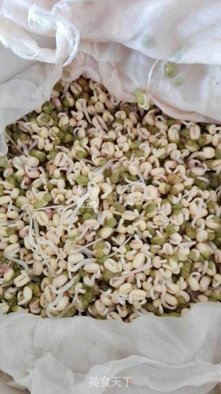 自发绿豆芽的做法步骤：3