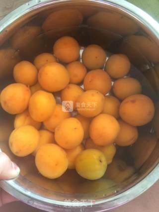 杏子果酱的做法步骤：1